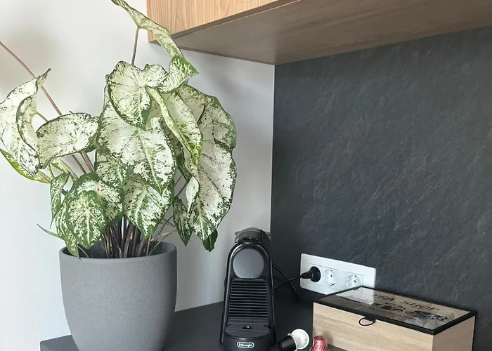 Tabacariei 5a Apartament *